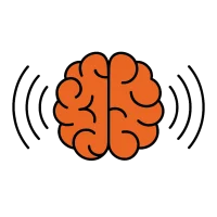 memoria de todos cerebro